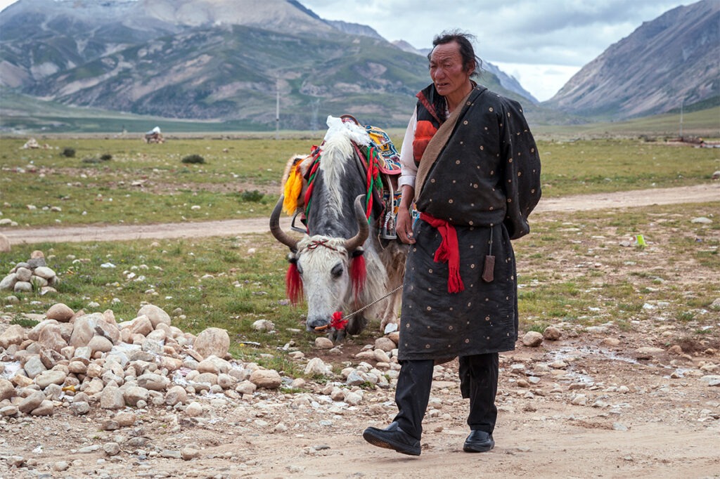 Tibetischer Pilgerer zu Fuß